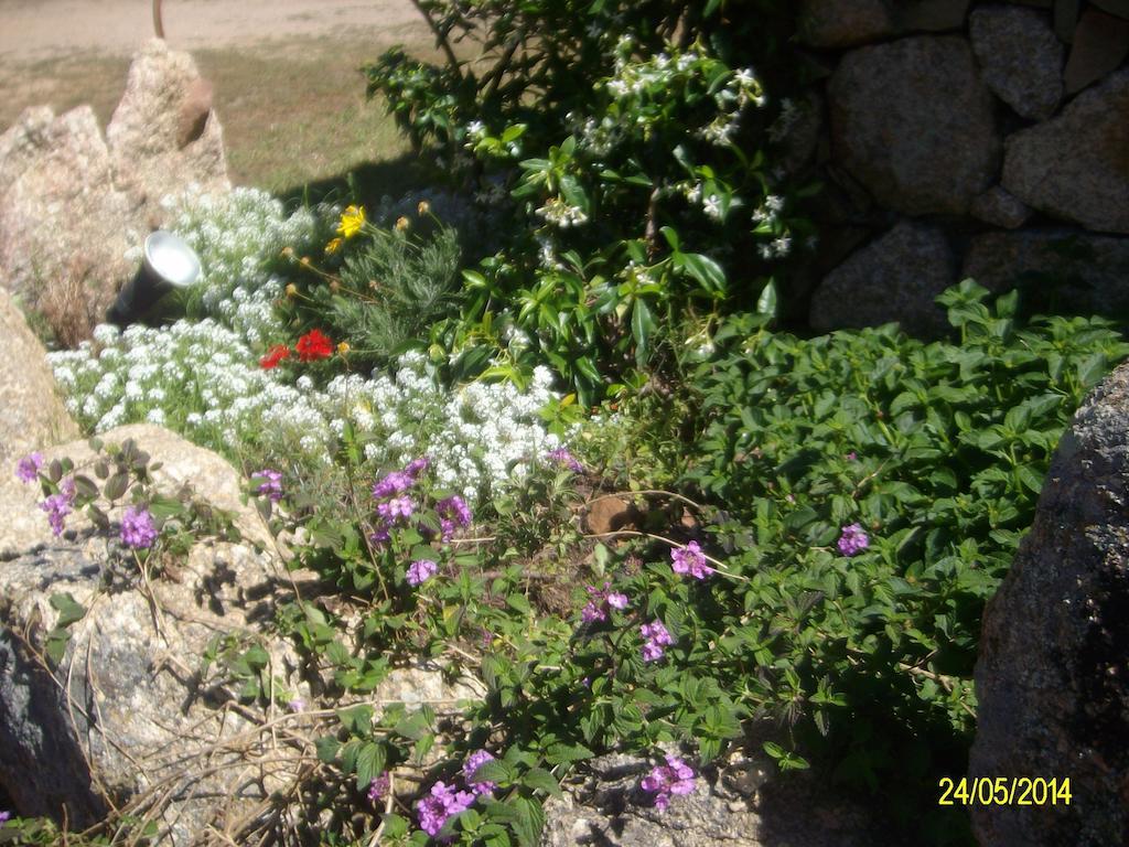 Agriturismo Spridda Bed and Breakfast Arzachena Exteriör bild