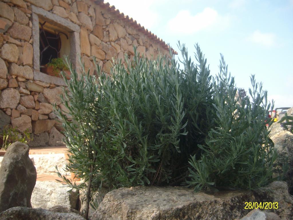 Agriturismo Spridda Bed and Breakfast Arzachena Exteriör bild